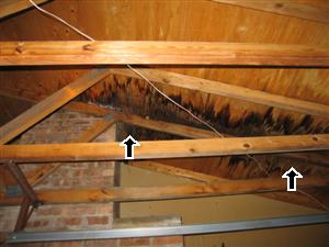 What To Do If Your Roofing System Fails 2 308909908dd4d252b348ea7785b3fe259f81fa1a7a4d85ded41ec2fa8294cd4f