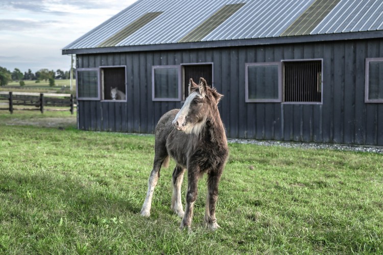 46f938d9e3e5cbc16b7ea9df2650f797e99e1cb5088a6421da0bca1f129f02c3