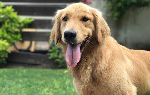 4ec8a44e13b2ba5b76ce5c6af57f459c3a9287cba7698e41e6d65b338e0476ae