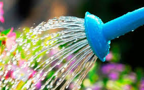 7052acf226b93a9cac59437296326048daed9f842fcf53f29e2ec65ca33e8b68