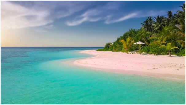 83c98d129a1a4d03c68e62009da50fe4af64b82f4069f97b2277414c71f9713a