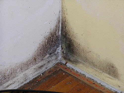 9f2c2c54f623febc662dffb1ec6c3a1f19fa95a0d72ddea606b727409ab4f4f7