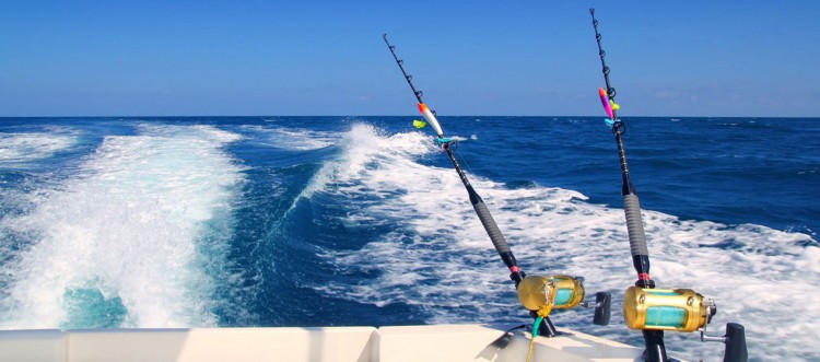 Fishing In Palm Beach Gardens 1 ac314d516ec082d78039f48dba9ceed34085fe252a6270a5238e1dd6a3d331f4