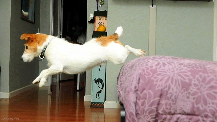 Bedroom Hacks that Will Help You Sleep 3 b489a2e235c0b5e9369e4965cf89a7bcec6a67e196e3861865b45d739303d4c0