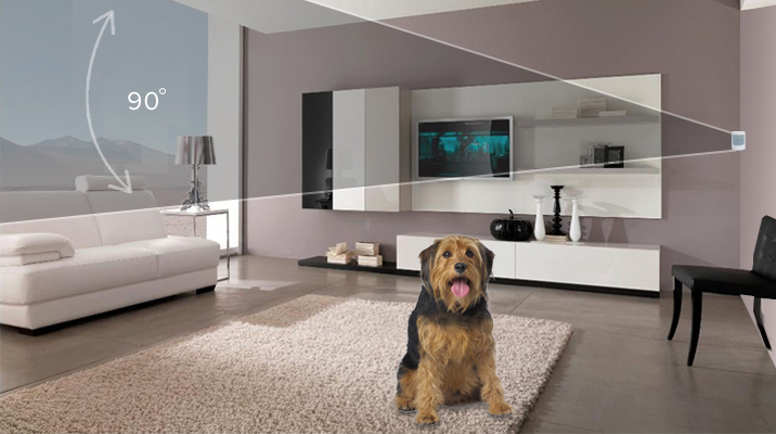 Home Motion Detectors Secure Your Safety 2 bba5c1ec1f76e9ccf957c6df8404559259462c39200120bb4ff68d11617b46dc