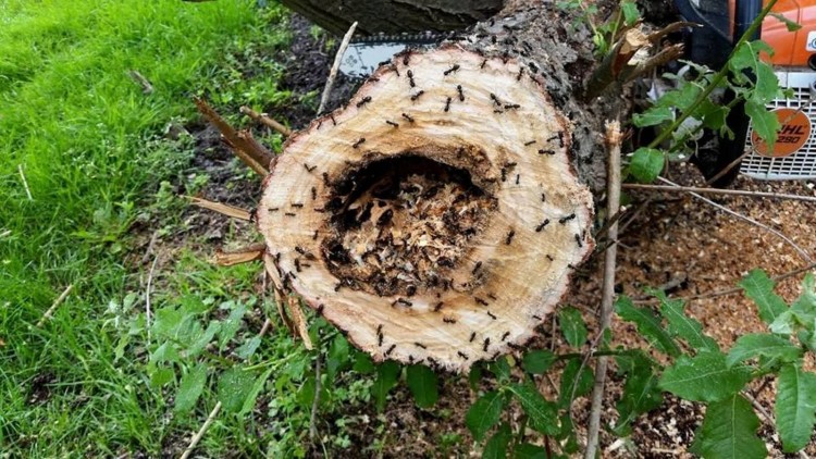 c44741849799e99dc50b55f9901424d3f4861dc244ccdb36406cb9d14078d92b