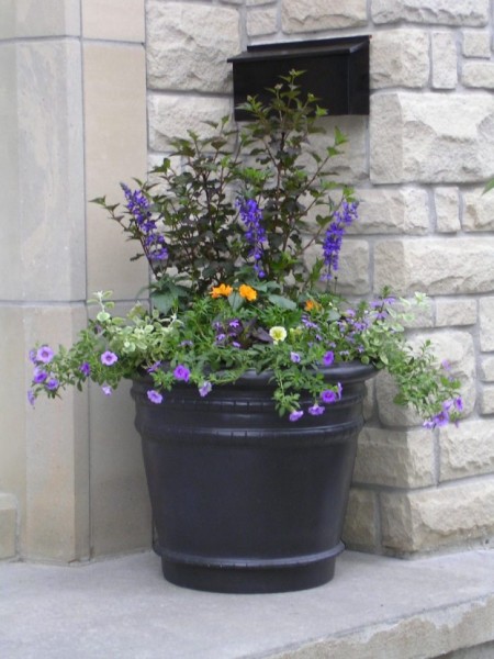 5 Quick Tips to Increase Your House Value 2 cf17dce09959899b9bf6e1d8aaf17785cb163d37325253f12086f6febf846012