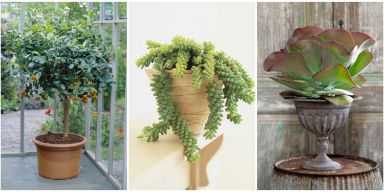 How to make a grand country house feel like home 2 d060fcb7f9c358f752c310ed07737d7c01fee3fa94677036114eef7672451f49