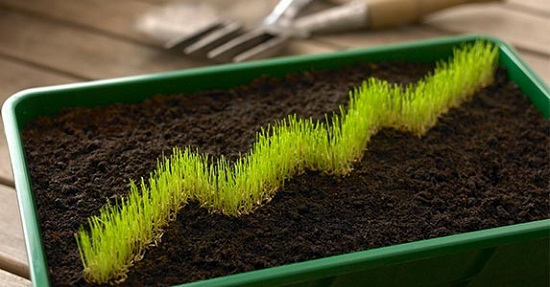 ee3a34b4aa942208799c79467e1f4ed1adf5435d5cff64b1c08e1967e867008d