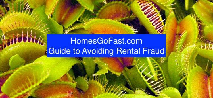 renting property safely img 1