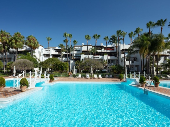 spca visual marbella mg 1066 edit