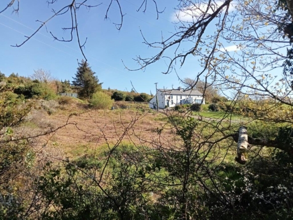 IMG20240422173922