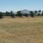 IMG 20220725 145934