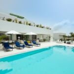 spca visual marbella mg 2728 edit