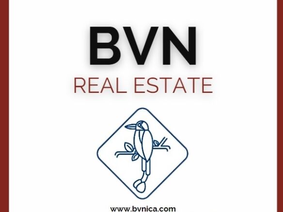 BVN LOGO LAST