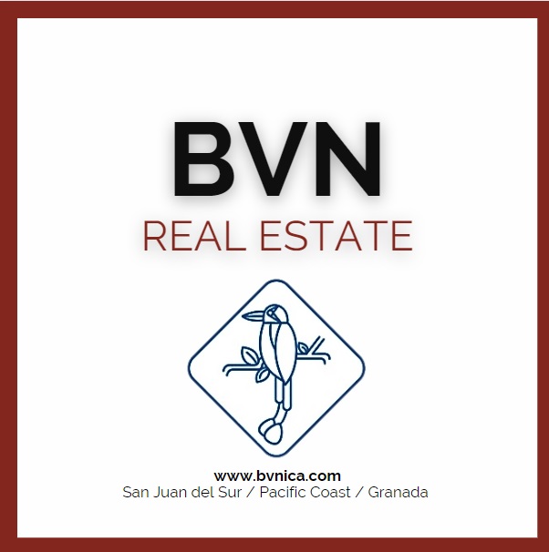 BVN LOGO LAST