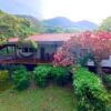 Casa Katie 8