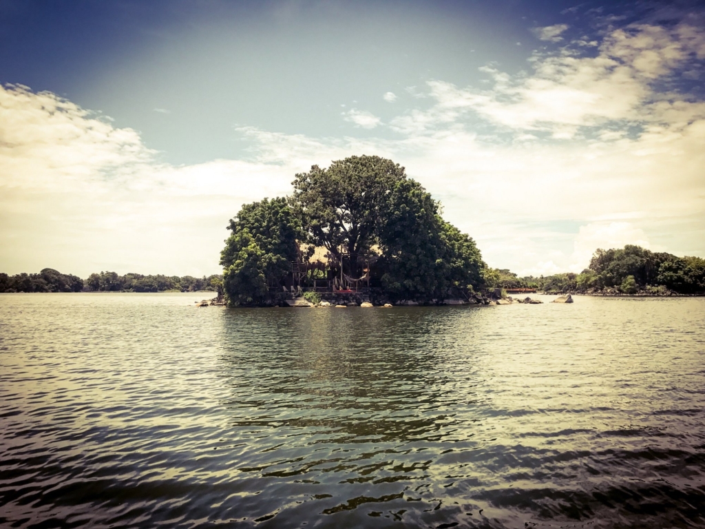 Mango Island 1 Mango Island 2 1