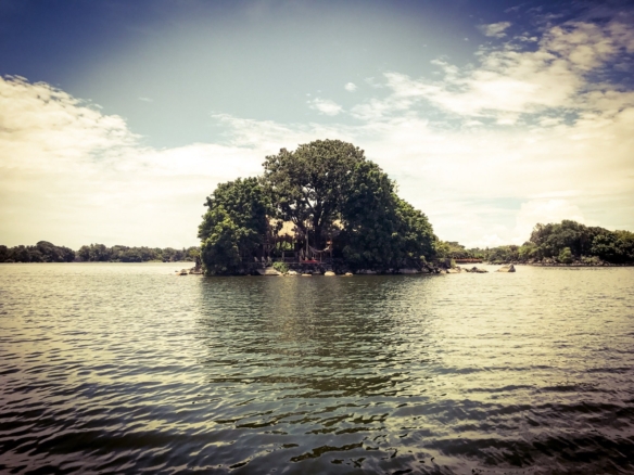 Mango Island 2 1