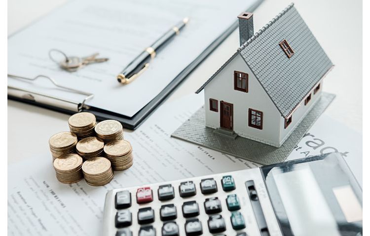 home renovation tips
