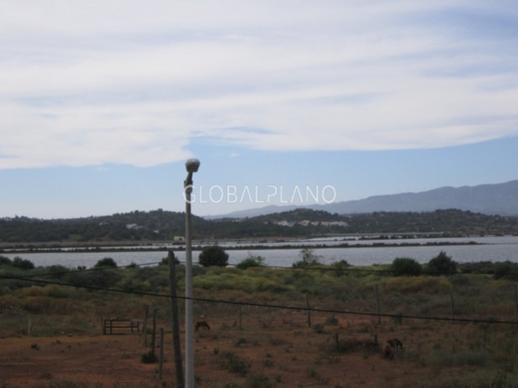 Mexilhoeira Grande 1 00c114eb3e3a3d012f33 xlarge
