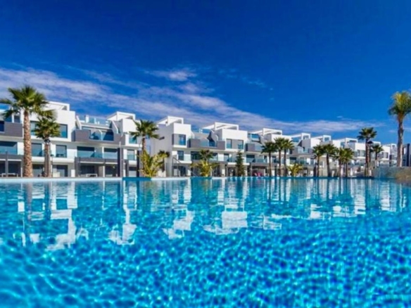Oasis Beach el Raso xlarge 1
