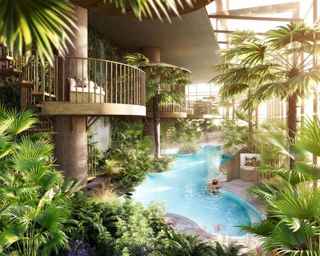 Elegant indoor pool surrounded by lush tropical plants and modern architecture in Wandsworth, London.