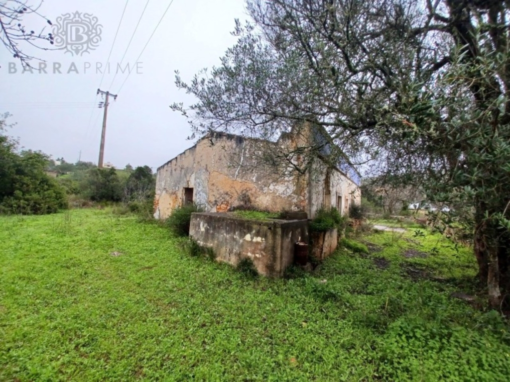 Loule 1 0533476084162c2499f0 xlarge