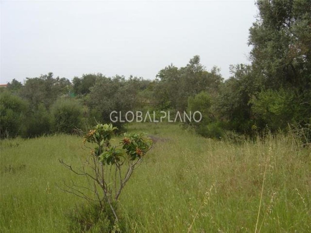 Silves 1 0b421174b415dcc32fa3 xlarge