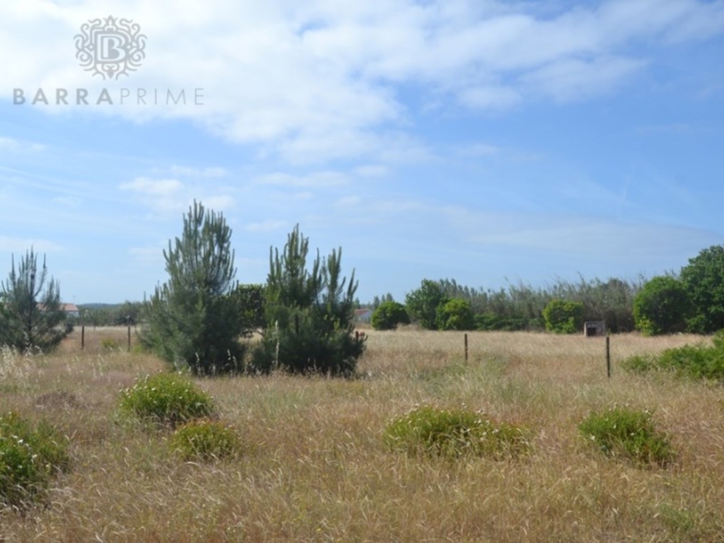 Loule 1 0d19b7bcd1cd9f0228e4 xlarge