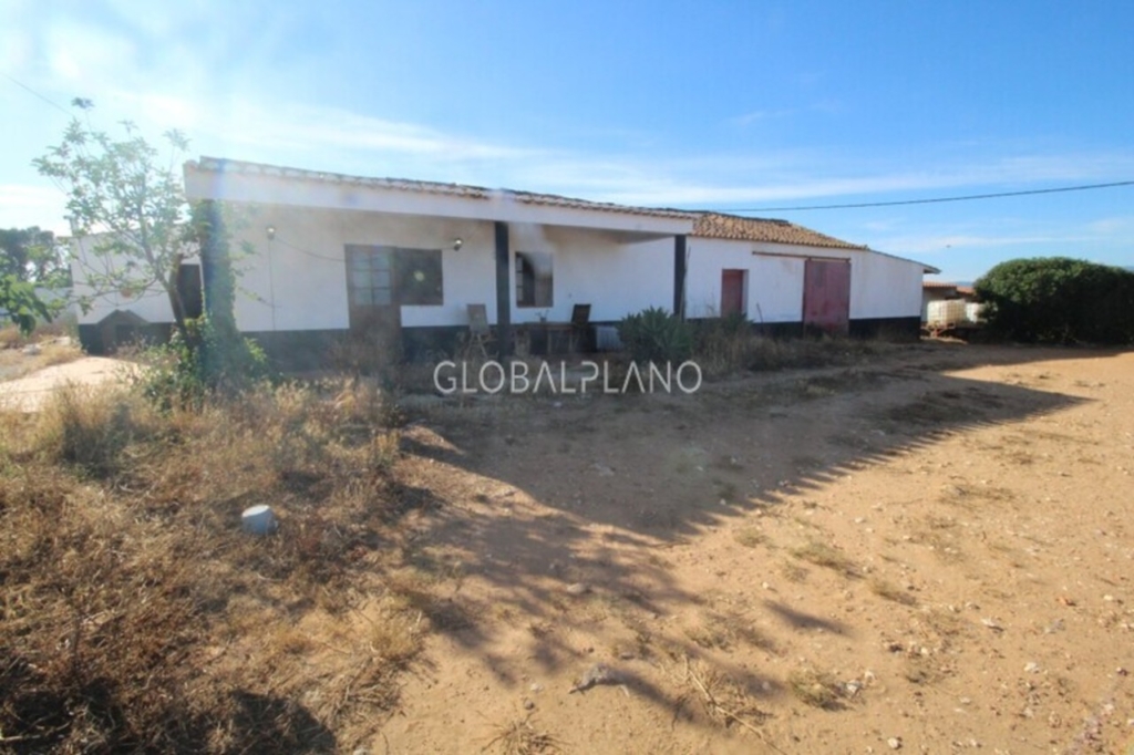 Odiaxere 1 0d87b574c3e3e4d69b6e xlarge