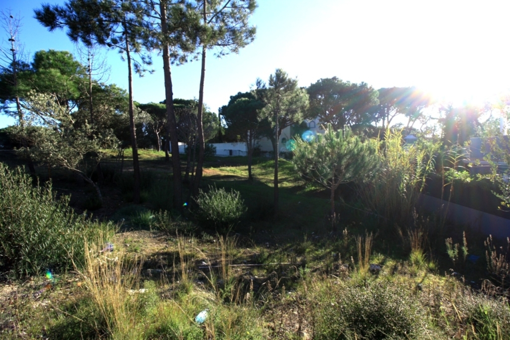 Quinta do Lago 1 452ad42296a38b61e062 xlarge