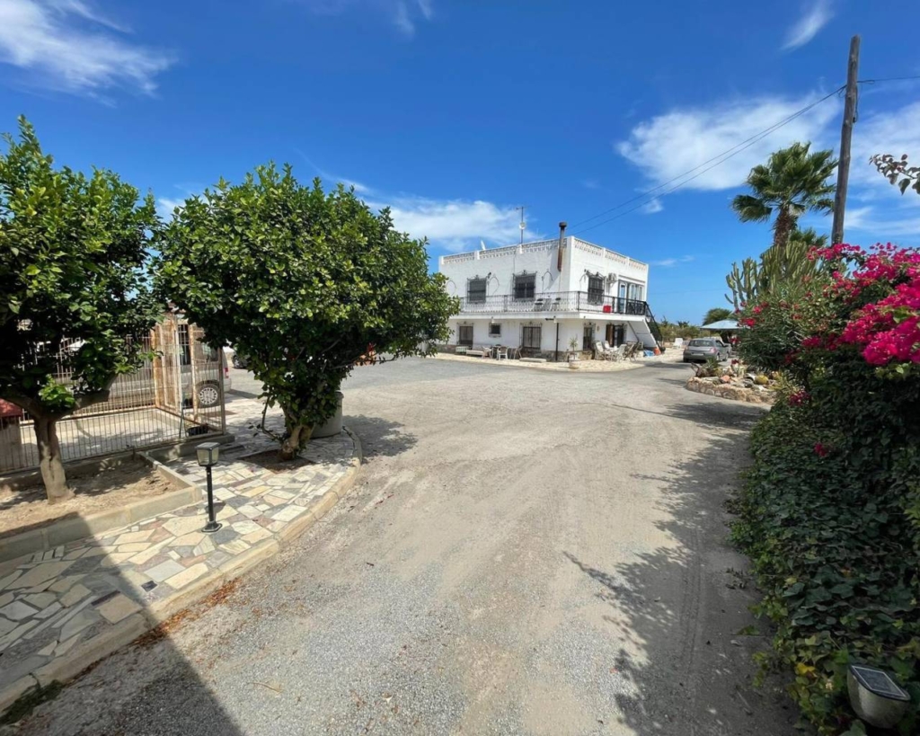 San Fulgencio 1 505185544b4063a3b4ec xlarge