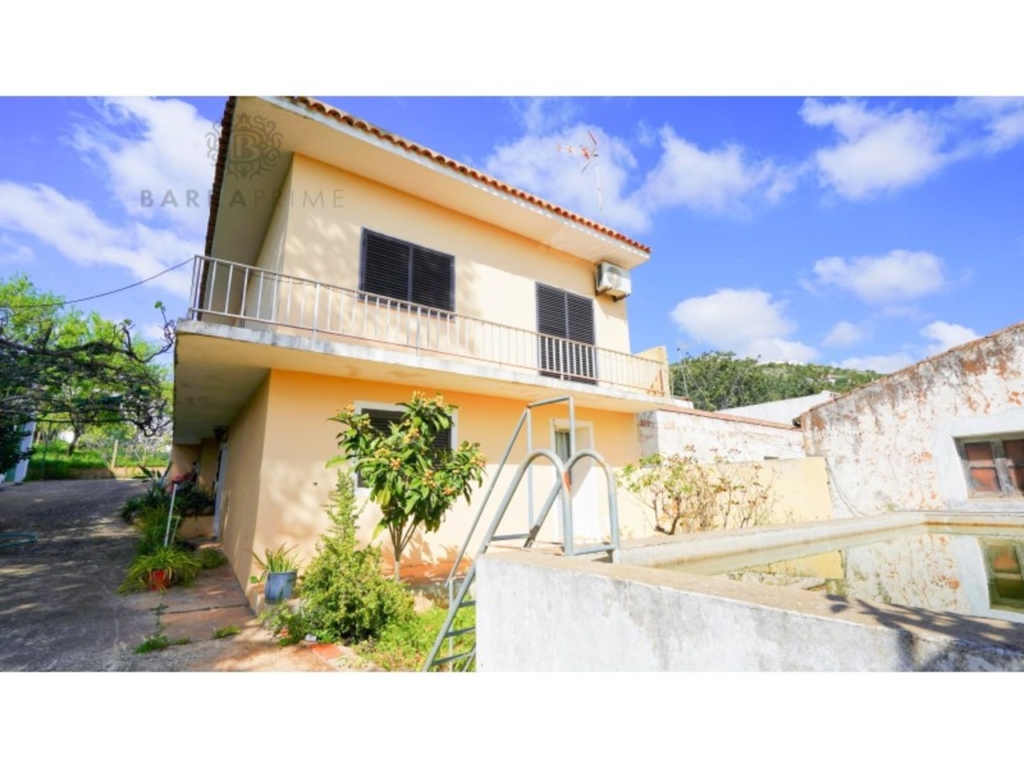 Loule 1 52122a093f27004f0180 xlarge