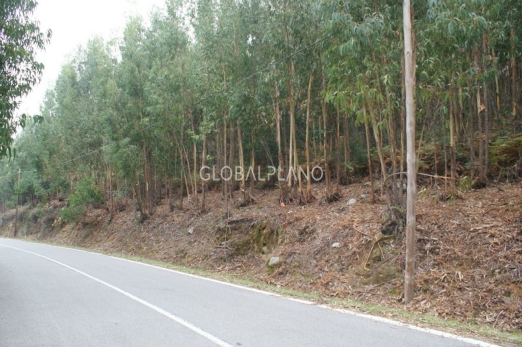 Mexilhoeira Grande 1 607c84499d1899cc0b0d xlarge