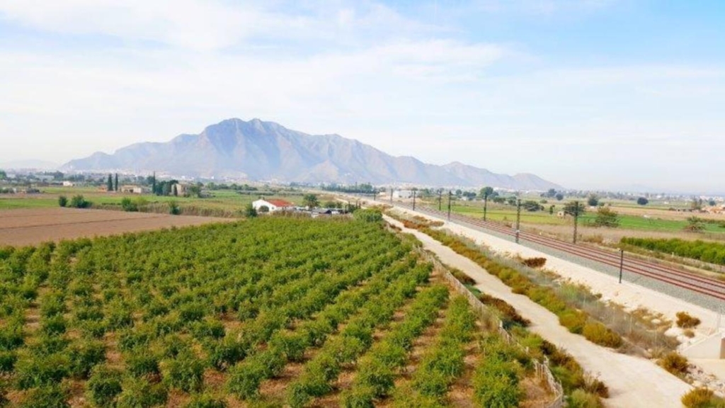 Callosa de Segura 1 741b63390cadc42d6675 xlarge