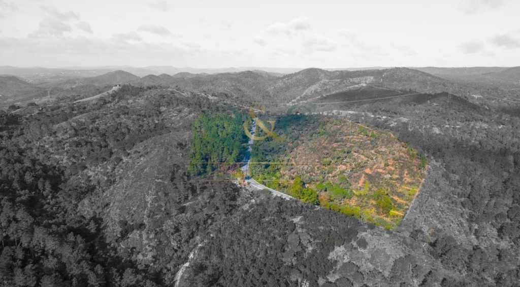 Sao Bras De Alportel 1 7444f3334d4dd5791fa5 xlarge