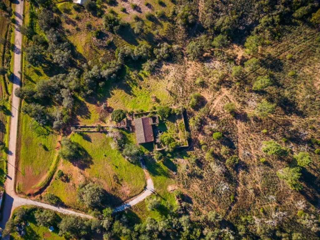 Sao Bras De Alportel 1 8628afdb9c50923ac1d4 xlarge