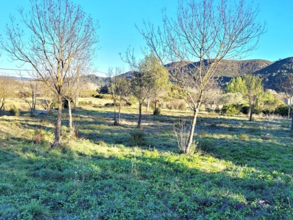 COM280800EA 1110x623 1