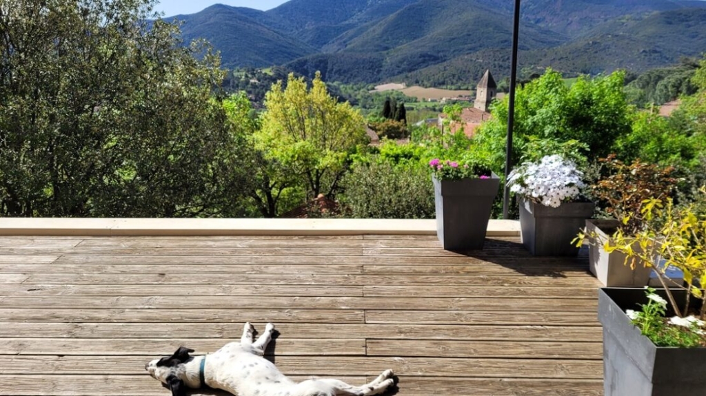 Beautiful Property With 125 M2 Of Living Space Plus 2 B&b Rooms On 1850 M2 Of Land, Swimming Pool And Stunning Views. 1 MON385200EB 1110x623 1