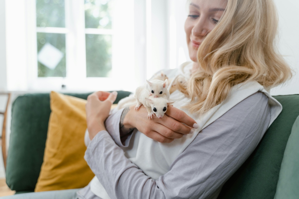 20 Unbelievable Exotic Pets That Can Add Charm to Your Home 2 Sugar Gliders