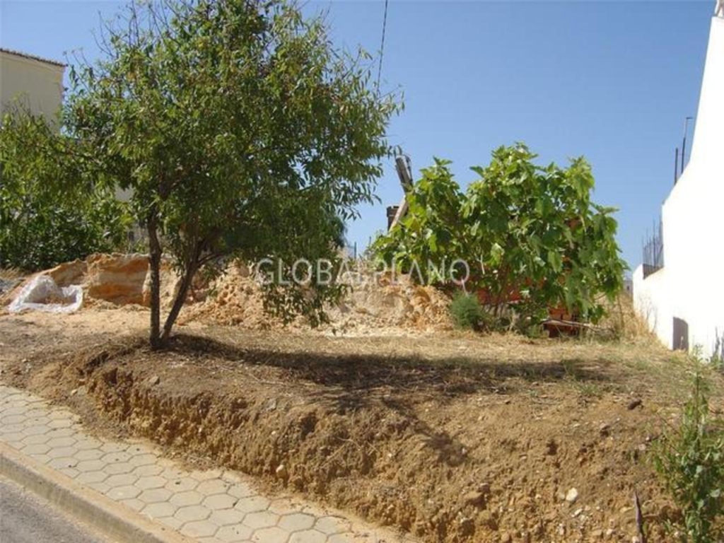 Bela Vista 1 c7101444b57dd3262ce7 xlarge