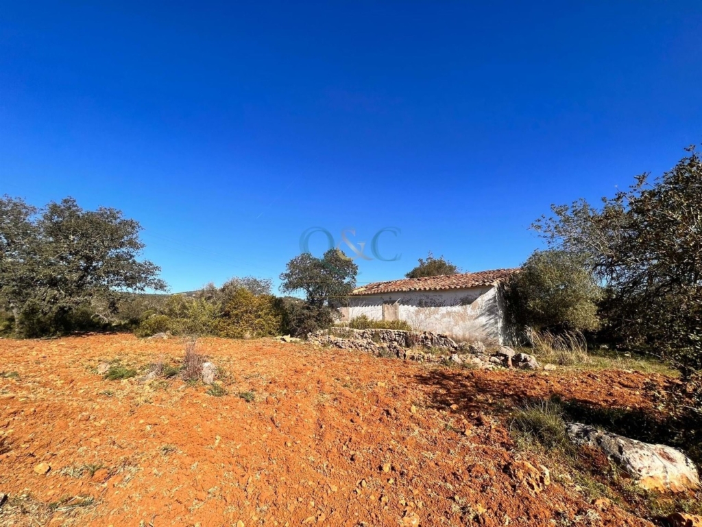 Sao Bras De Alportel 1 dbcfb72fde9a1de0cb61 xlarge