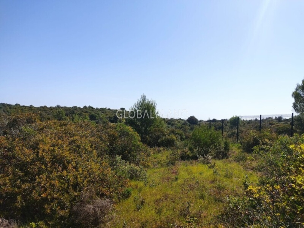 Odiaxere 1 ea3c845b15d26f8000a3 xlarge