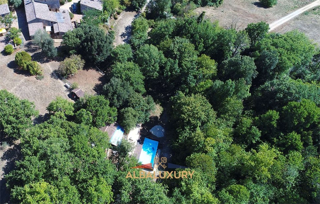 Exclusive Villa in Siena, Tuscany 1 imm 115969 20240929090021 1920