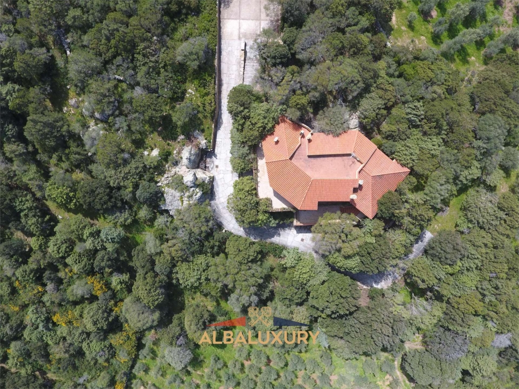 Villa Sale in 1 imm 120834 20241110175921 1920