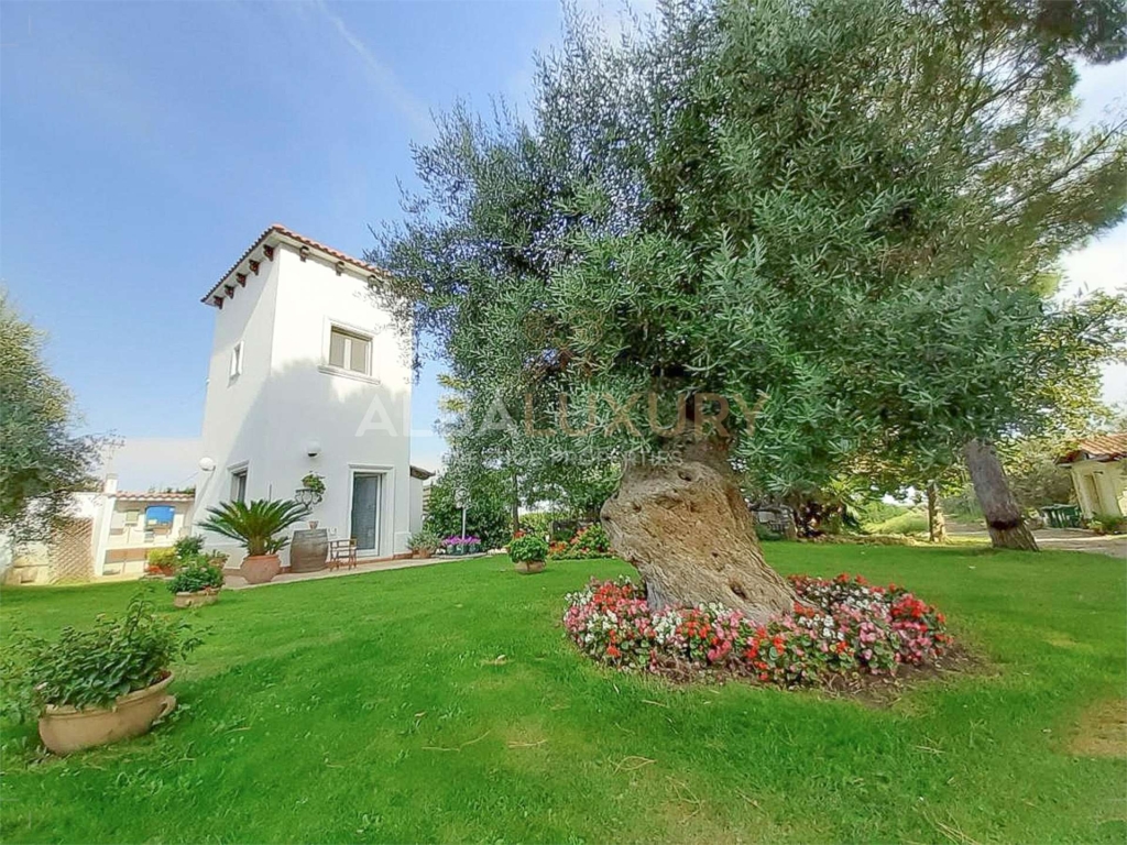 Agritourism and Winery in Apulia 1 imm 91412 20240208162204 1920