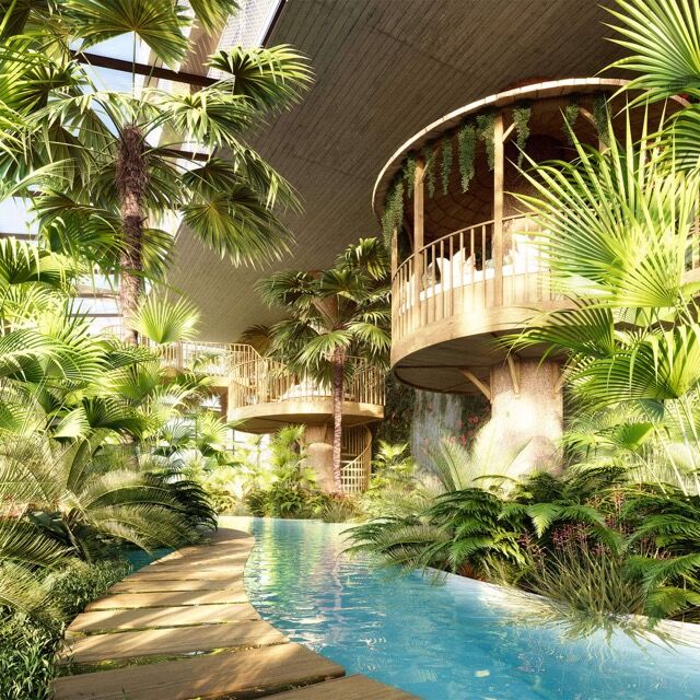 Indoor tropical garden featuring lush greenery and a serene pool setting.