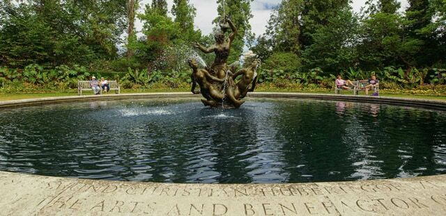 Fountain with a sculptural tree design in a lush green park setting.