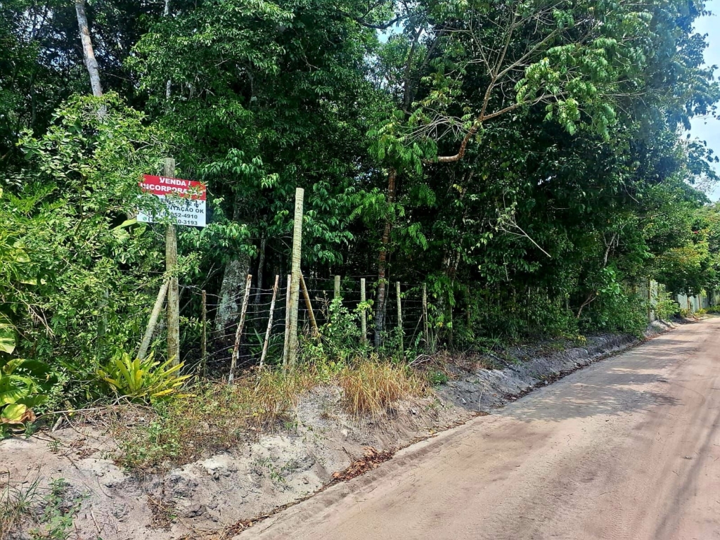 Excellent Plot of land for sale in Trancoso Bahia 1 0 1 1